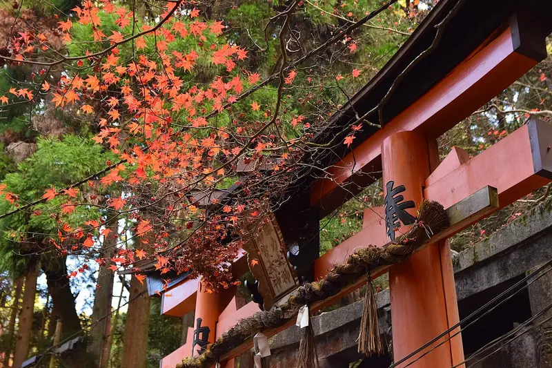 Fushimi Inari mùa thu