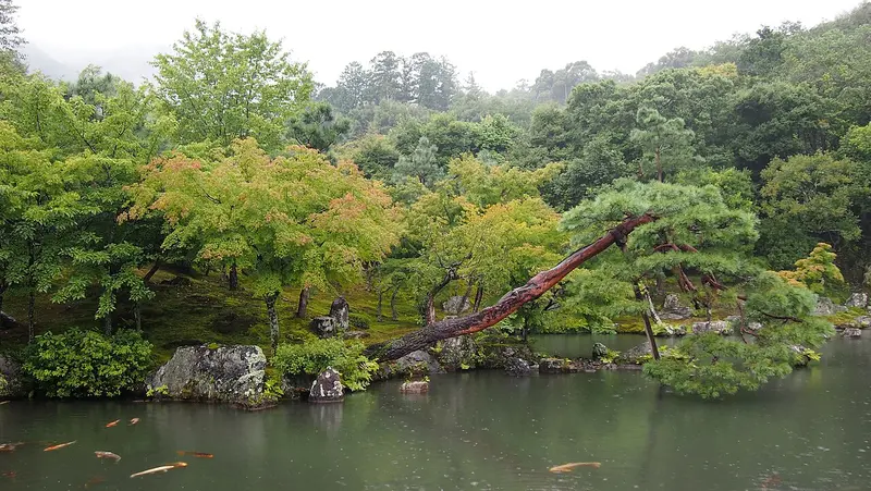 Hồ trong vườn Tenryu-ji