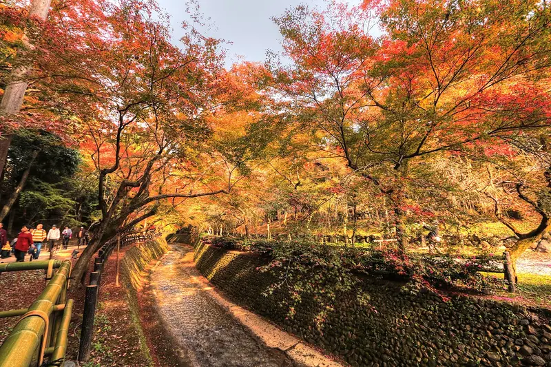 Kitano Tenmangu (11/2015)