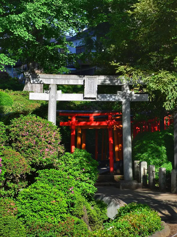 Lối vào đường hầm torii đỏ Otome Inari