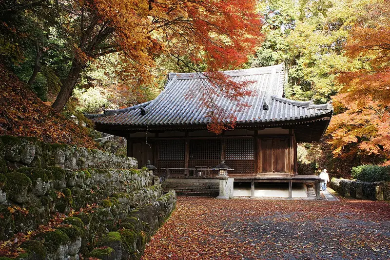 Otagi Nenbutsuji mùa thu